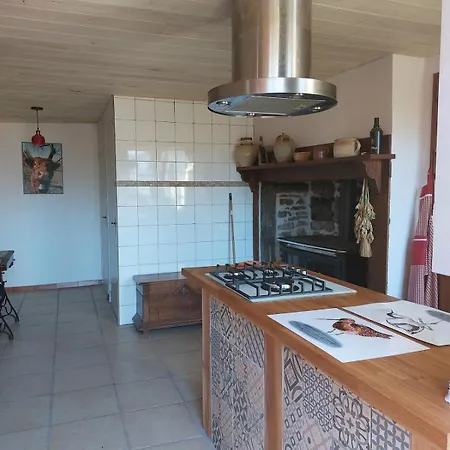 Prázdninový dům La Drulhoise Tres Belle Demeure De Caractere Au Coeur Du Cantal *