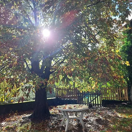 La Drulhoise Tres Belle Demeure De Caractere Au Coeur Du Cantal * Meallet