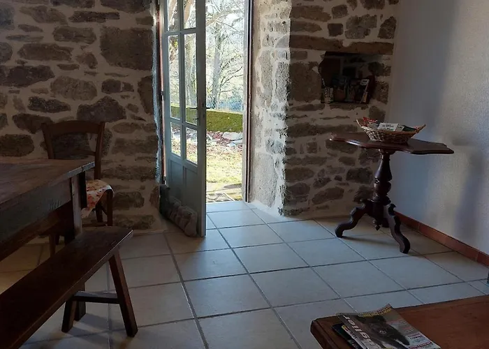 La Drulhoise Tres Belle Demeure De Caractere Au Coeur Du Cantal Meallet