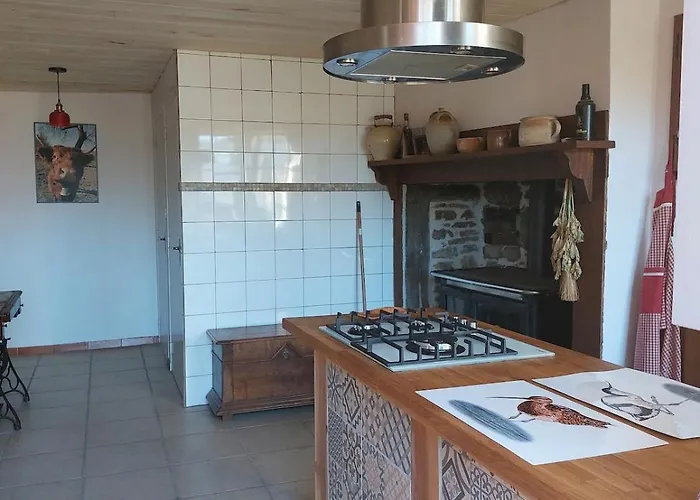 Holiday home La Drulhoise Tres Belle Demeure De Caractere Au Coeur Du Cantal *