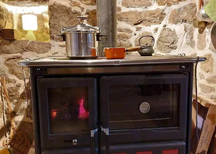 La Drulhoise Tres Belle Demeure De Caractere Au Coeur Du Cantal Prázdninový dům Meallet
