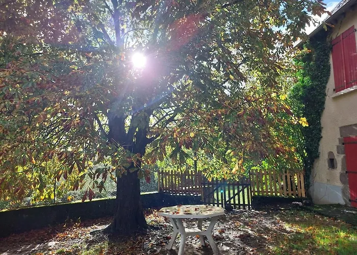 La Drulhoise Tres Belle Demeure De Caractere Au Coeur Du Cantal * Meallet